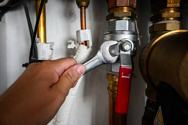 Best Commercial Plumbing Services  in Sardis City, AL